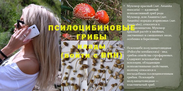 каннабис Алексин
