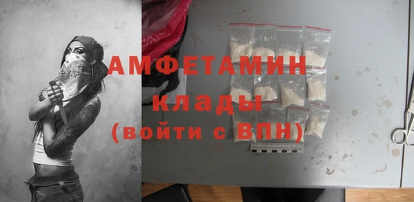 стафф Алзамай