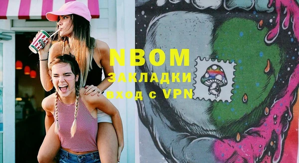 стафф Алзамай