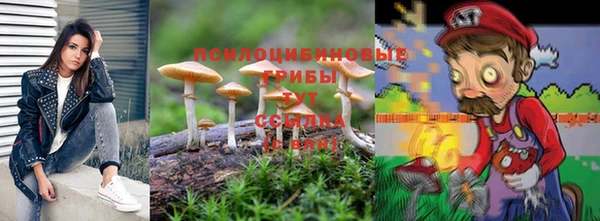 гидропоника Абаза